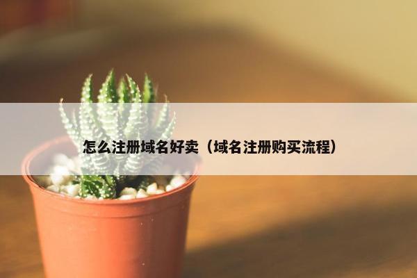 怎么注册域名好卖（域名注册购买流程）