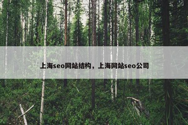 上海seo网站结构，上海网站seo公司