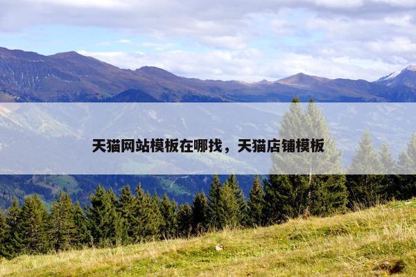 天猫网站模板在哪找，天猫店铺模板