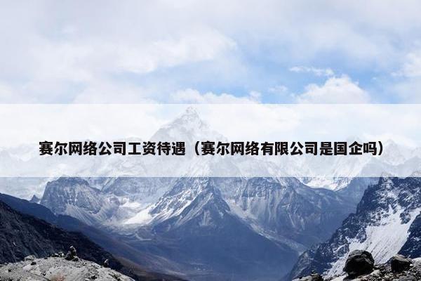 赛尔网络公司工资待遇（赛尔网络有限公司是国企吗）