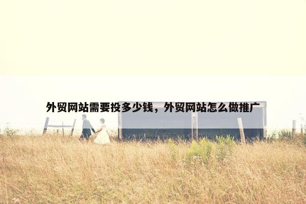 外贸网站需要投多少钱，外贸网站怎么做推广