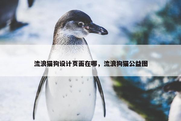 流浪猫狗设计页面在哪，流浪狗猫公益图