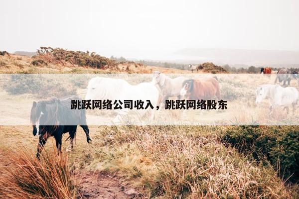跳跃网络公司收入，跳跃网络股东