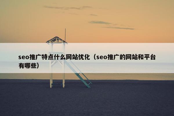 seo推广特点什么网站优化（seo推广的网站和平台有哪些）