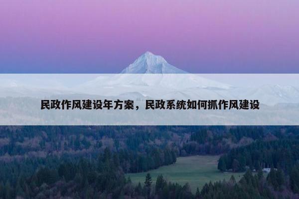 民政作风建设年方案，民政系统如何抓作风建设