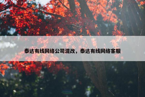 泰达有线网络公司混改，泰达有线网络客服