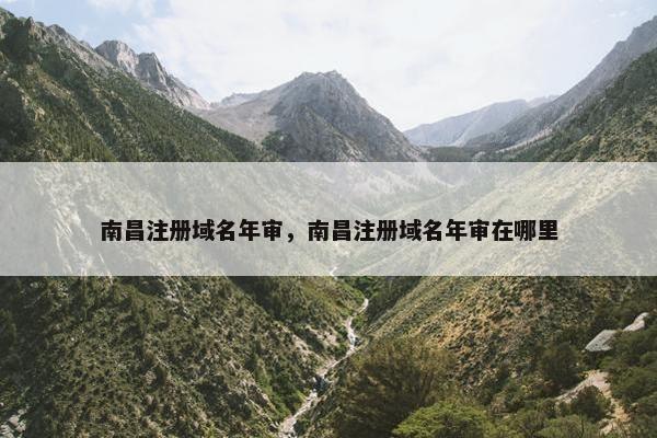 南昌注册域名年审，南昌注册域名年审在哪里