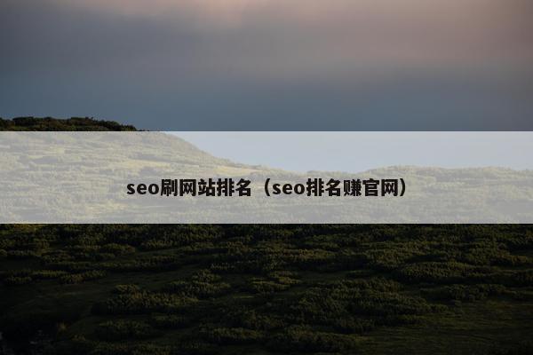 seo刷网站排名（seo排名赚官网）