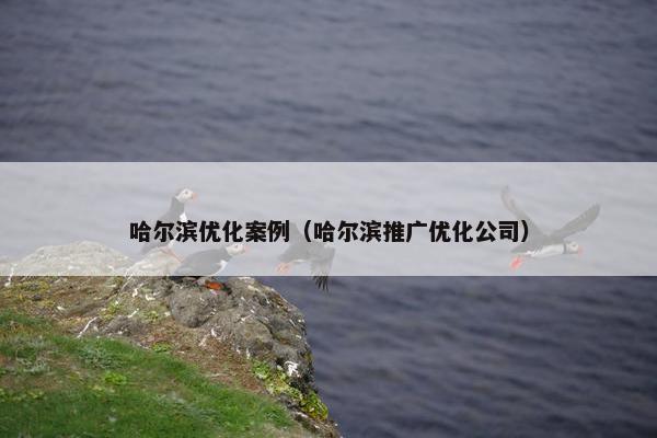 哈尔滨优化案例（哈尔滨推广优化公司）