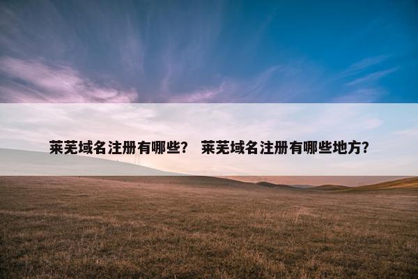 莱芜域名注册有哪些？ 莱芜域名注册有哪些地方？