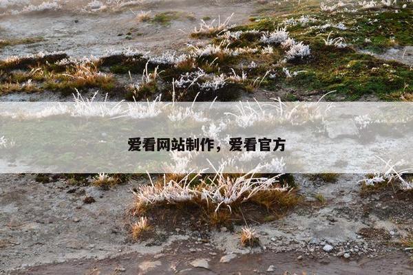 爱看网站制作，爱看官方