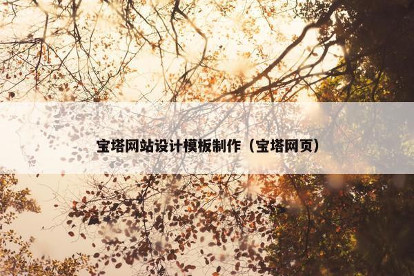 宝塔网站设计模板制作（宝塔网页）
