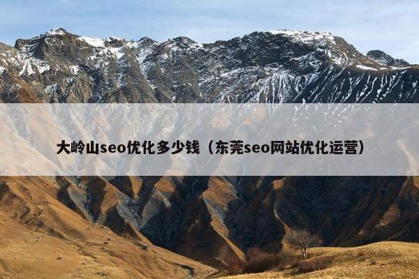 大岭山seo优化多少钱（东莞seo网站优化运营）