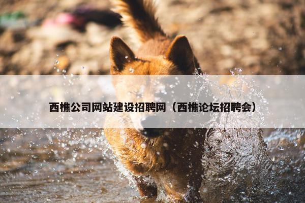 西樵公司网站建设招聘网（西樵论坛招聘会）