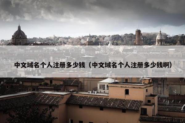 中文域名个人注册多少钱（中文域名个人注册多少钱啊）