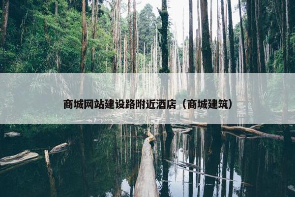 商城网站建设路附近酒店（商城建筑）