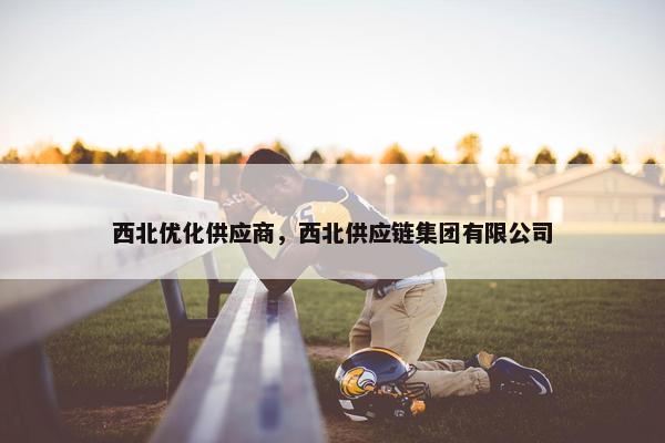 西北优化供应商，西北供应链集团有限公司