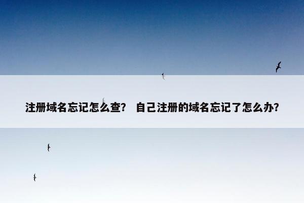 注册域名忘记怎么查？ 自己注册的域名忘记了怎么办？