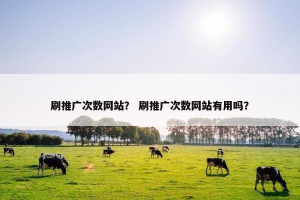 刷推广次数网站？ 刷推广次数网站有用吗？