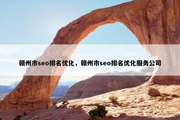 赣州市seo排名优化，赣州市seo排名优化服务公司