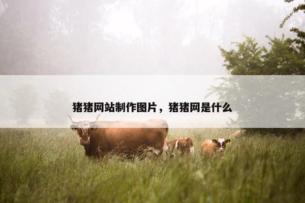 猪猪网站制作图片，猪猪网是什么