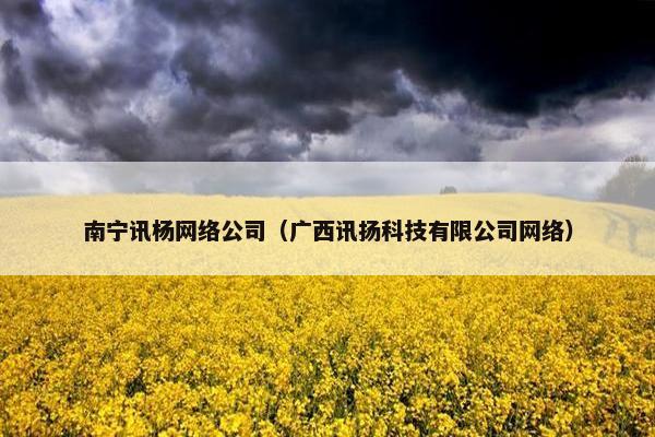 南宁讯杨网络公司（广西讯扬科技有限公司网络）