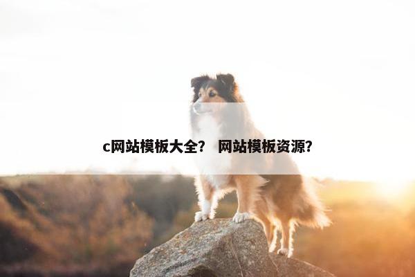 c网站模板大全？ 网站模板资源？