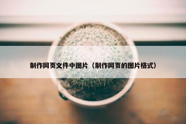 制作网页文件中图片（制作网页的图片格式）