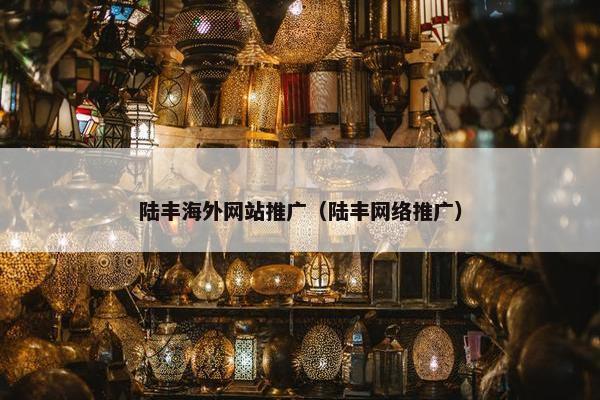 陆丰海外网站推广（陆丰网络推广）