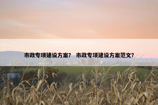 市政专项建设方案？ 市政专项建设方案范文？
