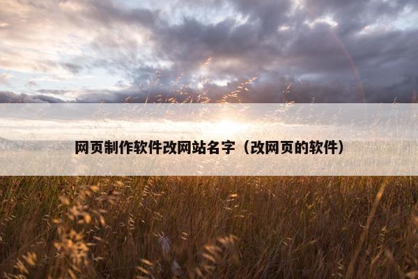网页制作软件改网站名字（改网页的软件）