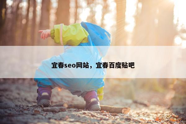 宜春seo网站，宜春百度贴吧