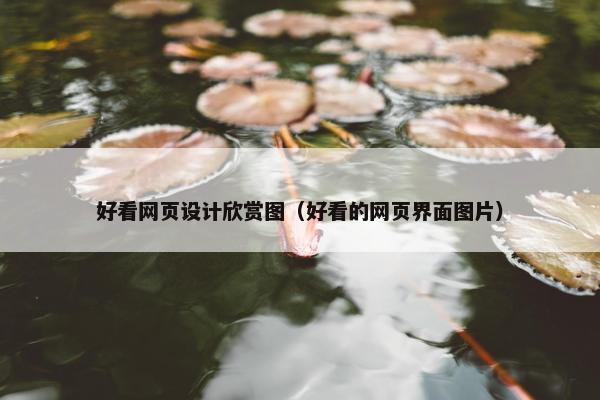 好看网页设计欣赏图（好看的网页界面图片）