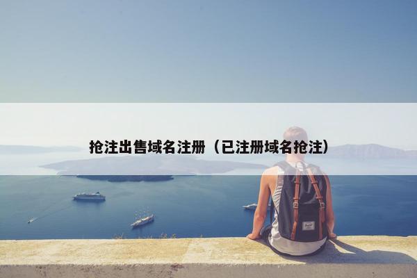 抢注出售域名注册（已注册域名抢注）