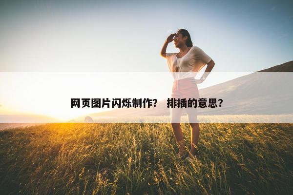 网页图片闪烁制作？ 排插的意思？