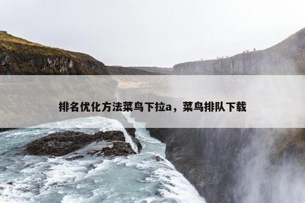 排名优化方法菜鸟下拉a，菜鸟排队下载