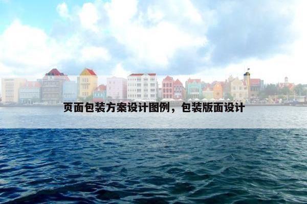 页面包装方案设计图例，包装版面设计