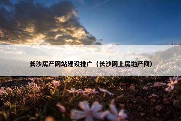 长沙房产网站建设推广（长沙网上房地产网）
