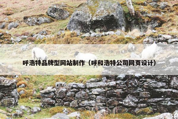 呼浩特品牌型网站制作（呼和浩特公司网页设计）