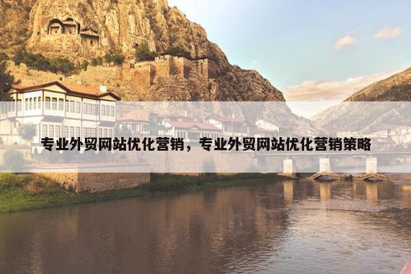 专业外贸网站优化营销，专业外贸网站优化营销策略