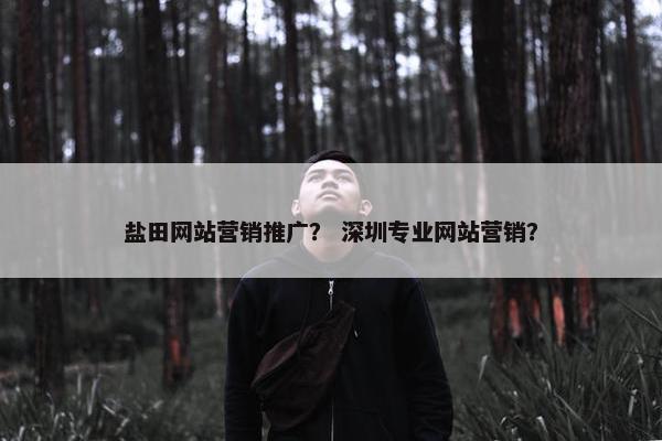 盐田网站营销推广？ 深圳专业网站营销？