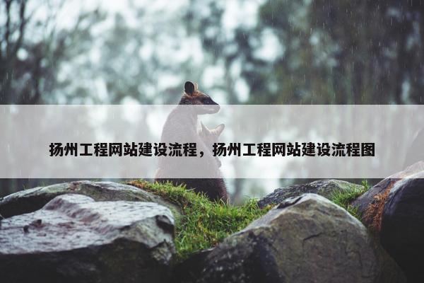 扬州工程网站建设流程，扬州工程网站建设流程图