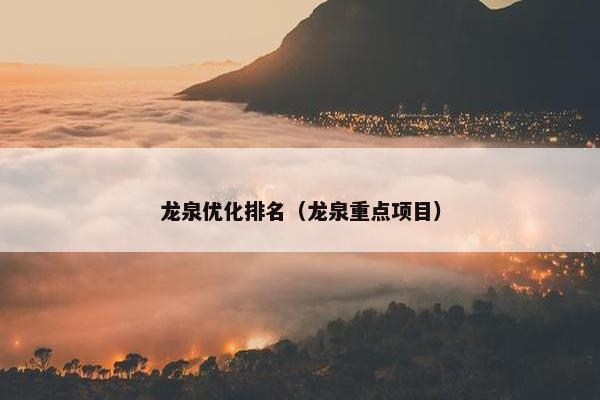 龙泉优化排名（龙泉重点项目）