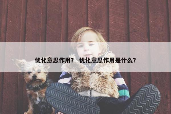 优化意思作用？ 优化意思作用是什么？