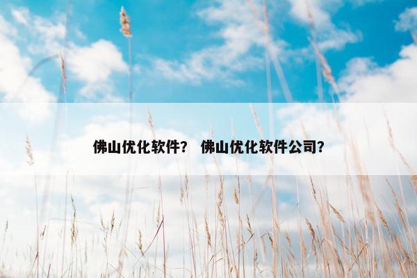 佛山优化软件？ 佛山优化软件公司？