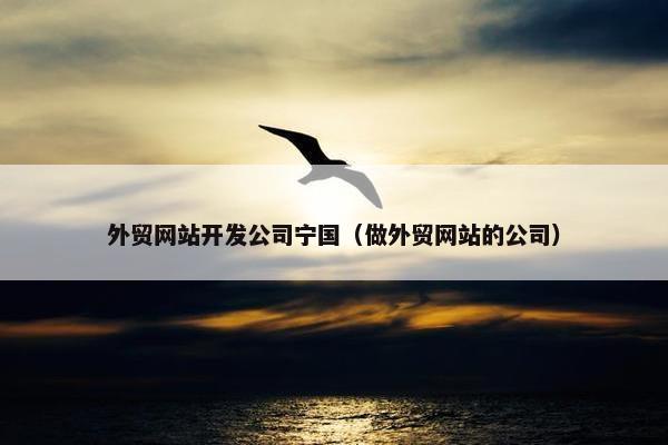 外贸网站开发公司宁国（做外贸网站的公司）