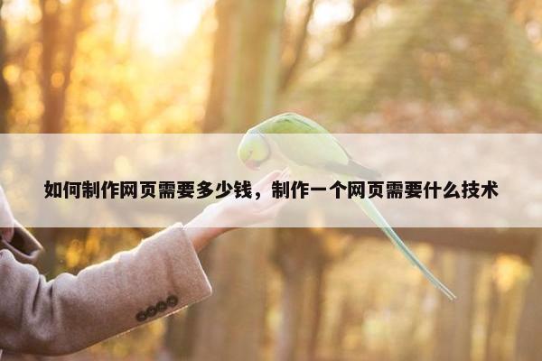 如何制作网页需要多少钱，制作一个网页需要什么技术