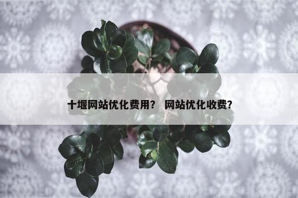 十堰网站优化费用？ 网站优化收费？