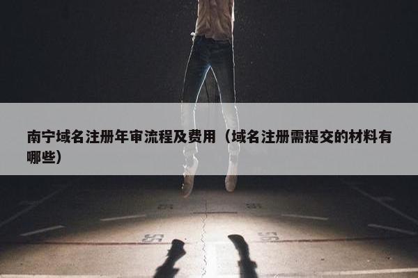 南宁域名注册年审流程及费用（域名注册需提交的材料有哪些）