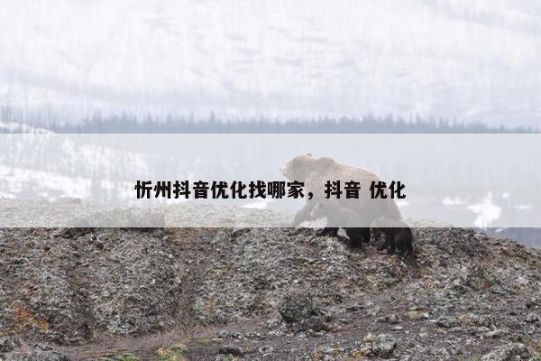 忻州抖音优化找哪家，抖音 优化